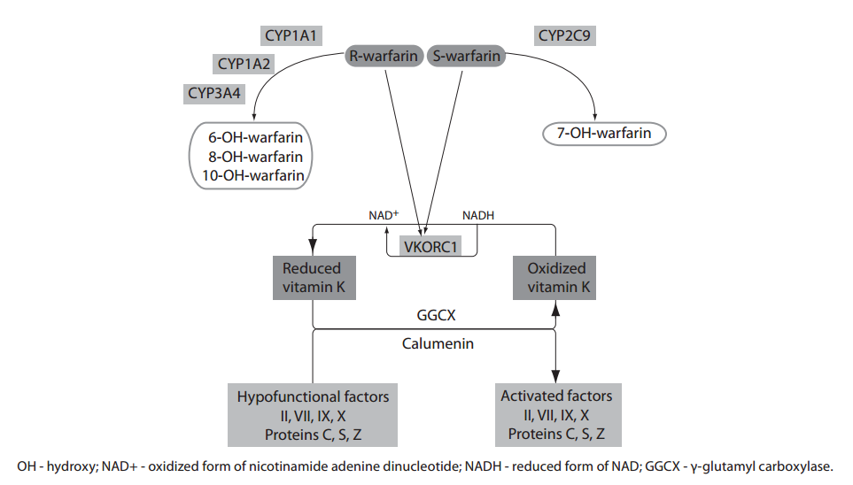 Figure1